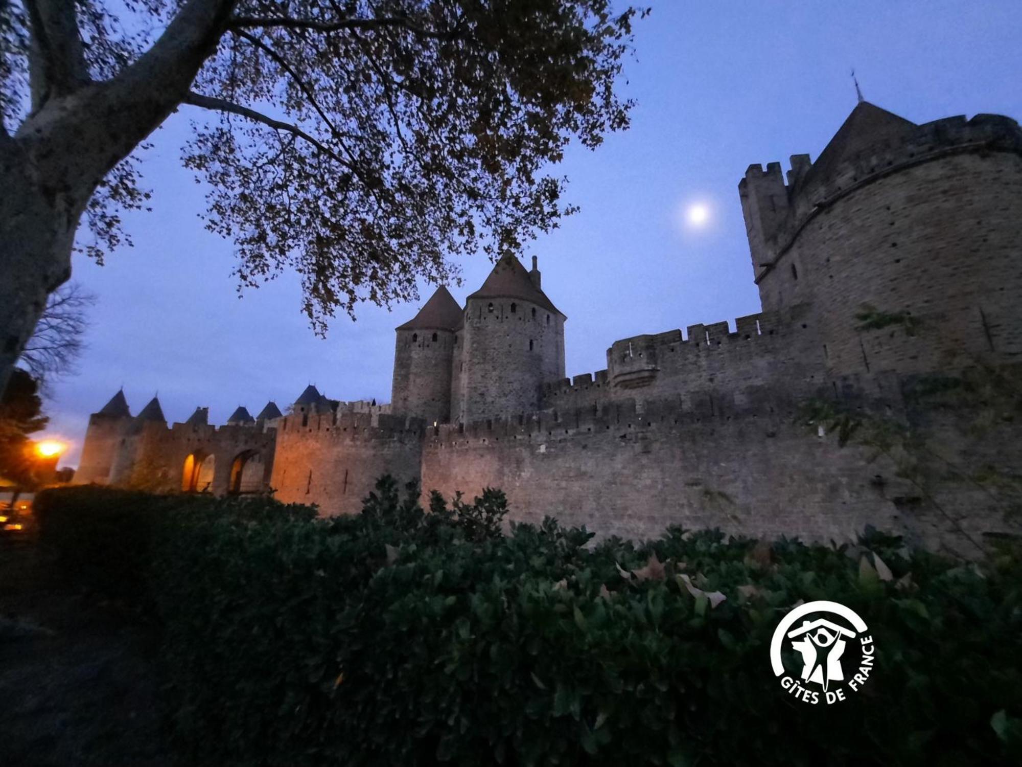 Loft Cocon Climatise - Imprenable Vue Sur Le Chateau Comtal Carcassonne Zewnętrze zdjęcie